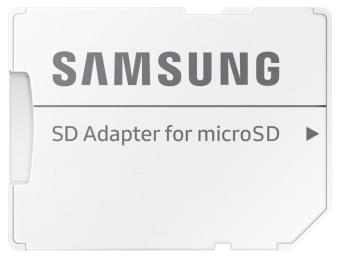 Samsung EVO Plus microSD - 256 GB