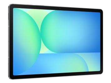 Samsung Galaxy Tab S10 FE - 256 GB - Grijs